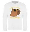 Свитшот Be a capybara Белый фото
