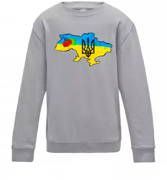 Дитячий світшот Україна герб калина Сірий меланж фото