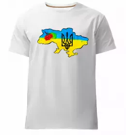 Мужская премиум футболка Жовто блакитні квіти Белый фото