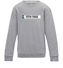 Детский Свитшот номерний знак ПТН ПНХ