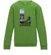 Детский Свитшот Рідний Луганськ Лаймовый Детский Свитшот Рідний Луганськ Лаймовый фото