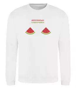 Свитшот Корабель Херсон Белый фото