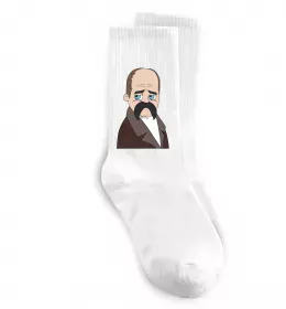 Носки Борщ з карасями Шевченко Белый фото