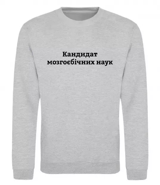 Свитшот Кандидат мозгоєбічних наук Серый меланж фото