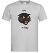 Чоловіча футболка I said i`m fine! Сірий Чоловіча футболка I said i`m fine! Сірий фото