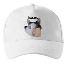 Кепка Здивований кіт
