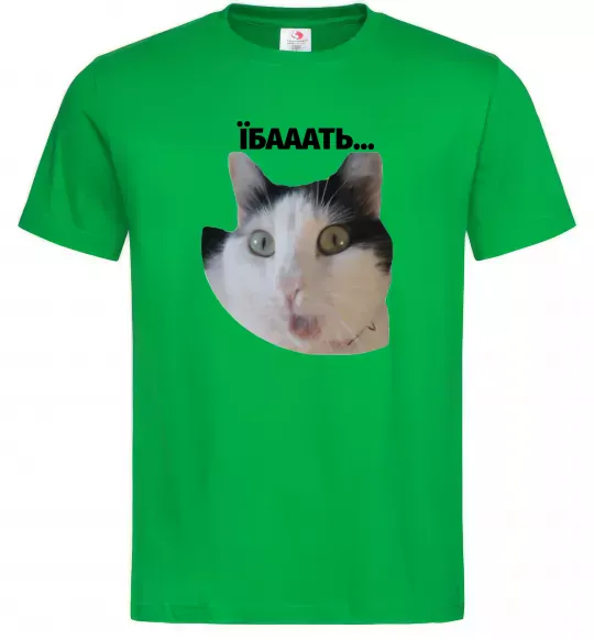 Мужская футболка Здивований кіт Зеленый фото