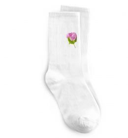 Шкарпетки Гортензії 1