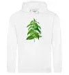 Чоловіча толстовка (худі) Кропива Білий Чоловіча толстовка (худі) Кропива Білий фото