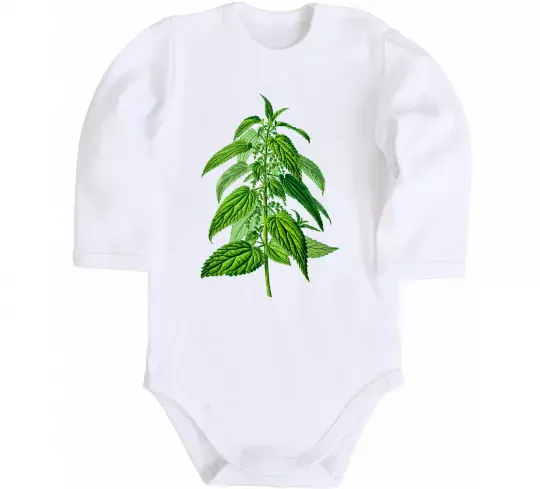 Детский боди Кропива Белый фото