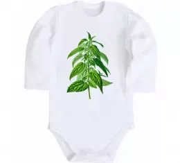 Детский боди Кропива Белый фото