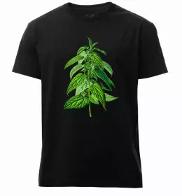 Чоловіча преміум футболка