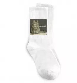 Носки Кіт питання? Белый фото