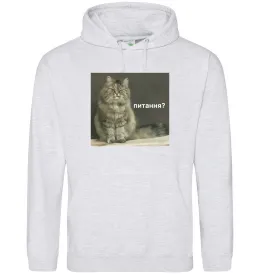 Мужская толстовка (худи)