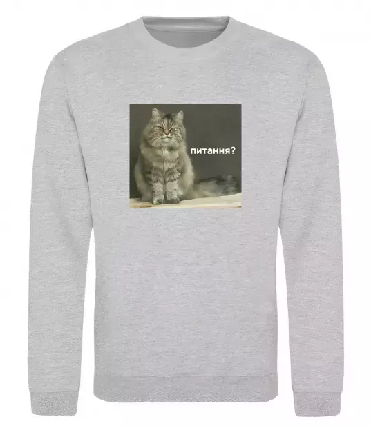 Свитшот Кіт питання? Серый меланж фото