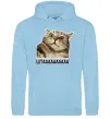 Жіноча толстовка (худі) Штааааа Блакитний фото