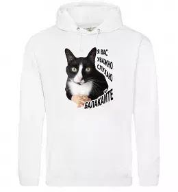 Мужская толстовка (худи)