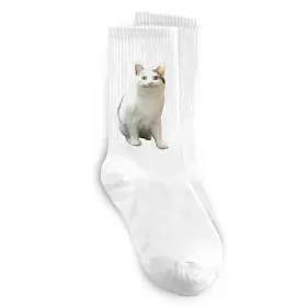 Носки Cat meme Белый фото