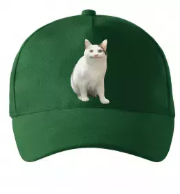 Кепка Кепка