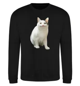 Свитшот Cat meme Черный фото