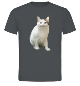 Мужская футболка Cat meme Графит фото