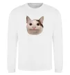 Свитшот Cat meme face Белый фото
