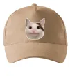 Кепка Cat meme face Пісочний фото