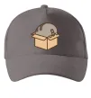 Кепка Пушин в коробці Серый фото