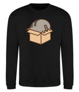 Свитшот Пушин в коробці Свитшот Пушин в коробці