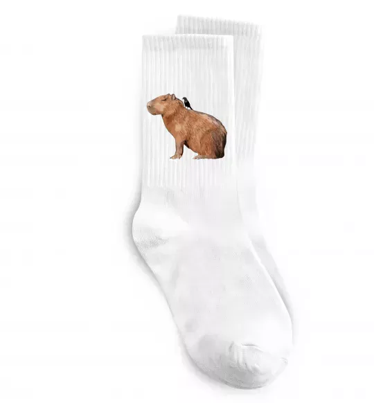 Шкарпетки Капібара з пташкою Білий фото