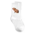 Шкарпетки Капібара з пташкою Білий фото