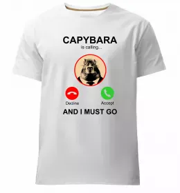 Мужская премиум футболка