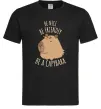Мужская футболка Be nice Be friendly Be a Capybara Черный фото