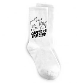 Носки Capybara fan club