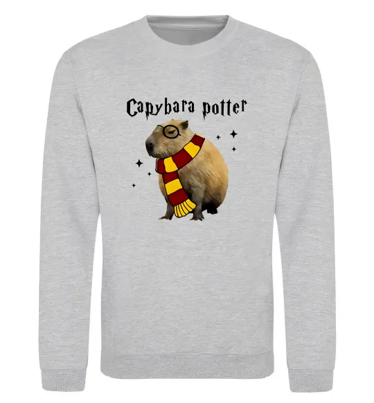 Свитшот Capybara Potter Серый меланж фото