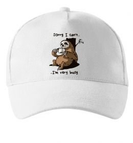 Кепка Sorry I can` I`m very busy Кепка Sorry I can` I`m very busy