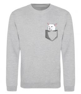 Свитшот Кіт-мем у кишені