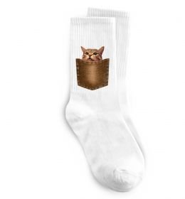 Носки Кошеня в кишені