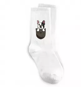 Носки Мопс в кишені Белый фото