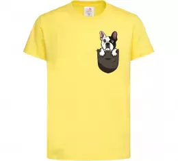 Детская футболка Кіт-мем у кишені Красный фото