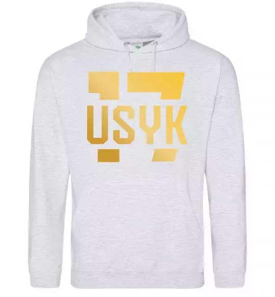 Мужская толстовка (худи) Usyk Серый меланж фото