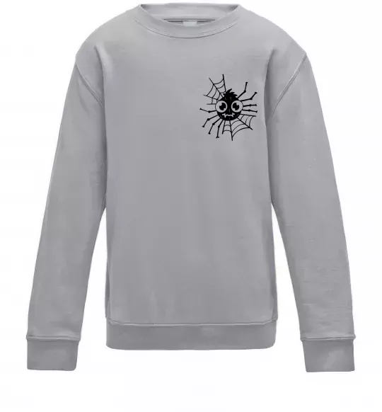 Детский Свитшот Павутинка Серый меланж фото
