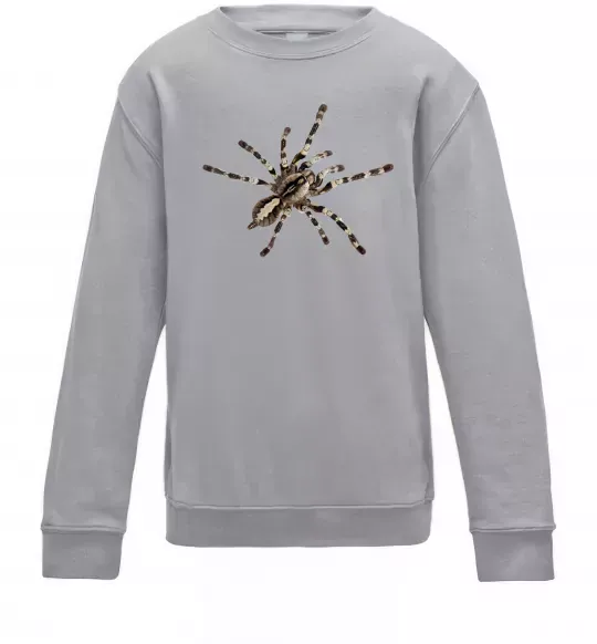 Детский Свитшот Тарантул Серый меланж фото
