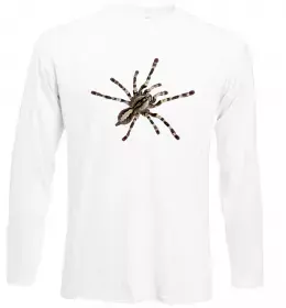 Лонгслив Spider Белый фото