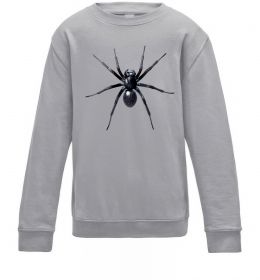 Детский Свитшот Spider