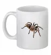 Чашка керамическая Tarantula Белый фото