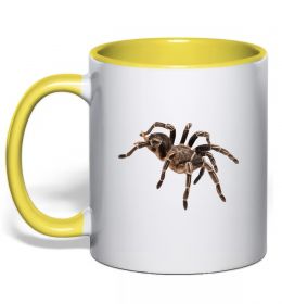 Чашка с цветной ручкой Tarantula