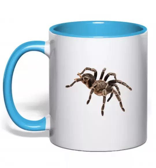Чашка з кольоровою ручкою Tarantula Блакитний фото