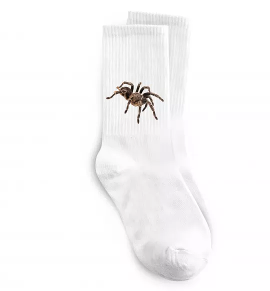 Шкарпетки Tarantula Білий фото