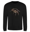 Свитшот Tarantula Черный фото